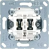 Jung 535U5 Doppel-Taster 2 Schlieáer mit Beleuchtung