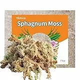 Yilotuce Sphagnum Moos, 310 g spaghnummoss für Orchideen, Gutes Kultursubstrat für Orchideen, Geweihfarne, Pflanzensetzlinge, Bewurzelung von Stecklingen und Anderen Pflanzen