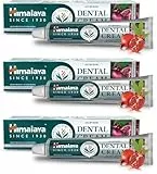Himalaya Ayurvedische Zahncreme Kräuterzahnpasta mit Neem & Granatapfel, schützt das Zahnfleisch |Hilft bei der Bekämpfung von Pest, Karies |Natürliches Fluorid - 100g (Packung mit 3)