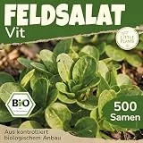Little Plants BIO Feldsalat Samen 500 Feldsalatsamen Vit Gemüsesamen Salatsamen für Gemüsegarten Samenfest Gemüse Samen für Küche, Balkon und Garten