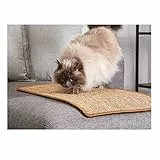 Carpido Kratzmatte für Katzen - Fußmatte Sisal Kratzteppich - natürliche Sisalmatte robust - Vorleger 100% Sisal - Katzenkratzmatte braun 30x40 cm 2er Set