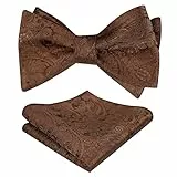 Alizeal Herren Retro Paisley Selbst Fliege und Taschentuch Set, Braun