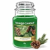 Yankee Candle Duftkerze im Glas (groß) | Balsam & Cedar | Kerze mit langer Brenndauer bis zu 150 Stunden | Perfekte Weihnachtsgeschenke für Frauen