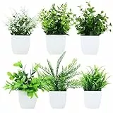 BUCOMTU 6 Stück Künstliche Pflanzen mit Topf, Künstliche Pflanzen Plastik,Kunststoff Pflanzen, Geeignet zur Dekoration für Büros, Schlafzimmer, Badezimmer, Terrassen, Wohnzimmer