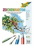 folia 8820 - Zeichenkarton, 250 g/m², DIN A2, 10 Blatt, weiß - Zeichenpapier für vielfältige kreative Ideen