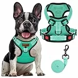 FAYOGOO Hundegeschirr, Kein Choke Front Clip Hund Reflektierendes Geschirr, No-Pull Verstellbare Weiche Gepolsterte Haustier Weste Set für kleine Mittlere Große Hunde Gehen (Grün, XS)