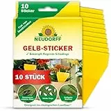 Neudorff Gelbe Klebefallen Trauermücken - Ungiftige Fruchtfliegenfallen Indoor für Zimmerpflanzen - Hochwirksames, wasserbeständiges & hitzebeständiges klebriges Fliegenpapier für Pflanztöpfe