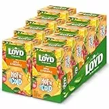 LOYD - Hot'N Cold Apfel & Ananas - 8er Pack - 8x15 Einzelverpackte Teebeutel, Tee zum Kalt- und Warmtrinken, Sommerlicher Ice Tea, Aromatisiertes Kalter Tee, mit Natürlichen Zutaten, Cold Brew