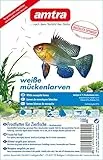 Amtra Weiße Mückenlarven Blister 10x100g (1kg)