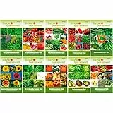 XXL-Saatgut-Set - 88 Samen-Tüten - 10 Sets - Gemüsesamen - Kräutersamen - Tomatensamen - Chilisamen - Kürbissamen - Obstsamen uvm.