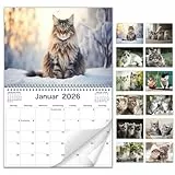 AEYAKA 2026 Katzen Wandkalender – Katzenbilder Monatsplaner, Monatskalender bis A3 aufklappbar, Familien- & Büro-Organizer, Geschenk für Katzenliebhaber Deutsch