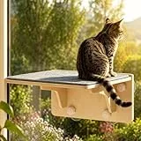 Katzen Fensterplätze (bis 16 kg), 2-in-1 für Wand & Glas, Katzenkletterwand mit Waschbar Abnehmbar Filzunterlage, Katzenliege Fenster Fensterplätze, Hängebett Fenster mit Saugnapf