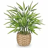 Arborus Künstlicher Bambus Kunstpflanzen 49 cm Künstliche Pflanzen Bambus Deko Kunstpflanze im Weidenkorb Dekopflanze für Boho Deko Tisch Regal in Küche im Wohnzimmer Schlafzimmer