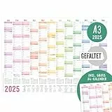 Häfft® Wandkalender 2025 A3 gefalzt (42 x 29,7 cm) 'Rainbow' Wandplaner mit Ferien-Übersicht und Feiertagen + gratis A4-Kalender - nachhaltig & klimafreundlich