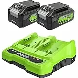 Greenworks 24V Akkus & Doppellader Ladegerät - Zwei 4Ah Batterien, wiederaufladbarer Akku für alle Greenworks 24V Geräte, 48W Output 4A Spannung lädt eine einzelne Batterie in 60 Min - G24B4 & G24X2C