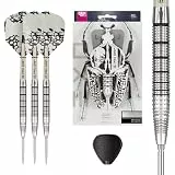 Target Darts EXO Edition 90% Tungsten Steel Tip Darts Set - 24g Barrel SP02 - Steel Tip Dart Sets, Swiss Point Darts mit Pro Grip Schäften und No.6 Flights, SP Tool Included