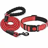 haapaw reflektierendes Hundehalsband gepolstert mit weichem Neopren atmungsaktiv einstellbar Nylon Hundehalsbänder für kleine mittlere große Hunde
