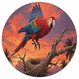 Guacamayo 1000 Teile Circular Puzzles Stressabbau-Spielzeugfür Erwachsene Kinder Schwieriges Großes Pädagogisches Verringerter Druck Karton - Familienpuzzle Geschenke Für Mama, 1000pcs (67.5x67.5cm)