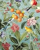 Komar Vlies Fototapete - Birds and Berries - Größe: 200 x 250 cm (Breite x Höhe) - Tapete, Design, Wohnzimmer, Wanddekoration, Schlafzimmer, Blumen, floral, Papagei, Vogel - LJX4-018