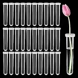 Runyu 30 Stück Reagenzgläser für Blumen Transparent Blumenröhrchen Kunststoff Orchideenröhrchen mit Deckel 110×18mm Blumen Wasserröhrchen für Blumenarrangements