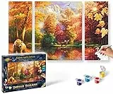 Schipper 609260650 Malen nach Zahlen - Indian Summer - Bilder malen für Erwachsene, inklusive Pinsel und Acrylfarben, Triptychon, 50 x 80 cm