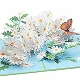 papercrush® Pop-Up Karte Blumen „Gänseblümchen mit Schmetterling“ - 3D Blumenkarte für Frauen (best Freundin, Kollegin), Glückwunschkarte zum Geburtstag für Mama und Oma, Gutscheinkarte für Gärtnerin