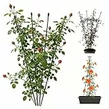 Garten Rankgitter, Pflanzkäfige und Stützen für Ranken,120CM Pflanzenständer für Kletterpflanzen, Rankhilfe Garten Tomaten,Topfpflanzen, Blumen, 1 Stück