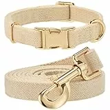 YUDOTE Hundehalsband und Leine Set Klein, Weiche Reizfreie natürlicher Baumwolle mit Twillgewebe für Hund mit empfindlicher Haut, Hellbeige