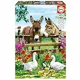 Educa - Puzzle 500 Teile für Erwachsene | Esel, 500 Teile Puzzle für Erwachsene und Kinder ab 11 Jahren, Tierpuzzle (19553)
