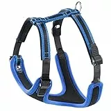 Ferplast großes Hundegeschirr ERGOCOMFORT EXTRA Large, verstellbares Hundegeschirr, bequem, gepolstert, doppelter Mikroverstellverschluss, Schnellverschluss, blau