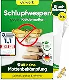 anwerk® Schlupfwespen gegen Kleidermotten - 6 Karten à 1 Lieferungen - Effektiv Kleider Motten bekämpfen - Alternative zur Mottenfalle, Mottenspray, Pheromonfalle