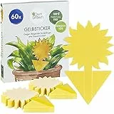 OwnGrown Gelbe Fliegenfalle für Zimmerpflanzen - 60 Stück Mückenbekämpfung Aufkleberpapier - Sonnenblumen Fruchtfliegenfalle Ideal für Zimmerpflanzen und den Innenbereich - 13,5 x 7,5 cm