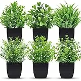 BTSD-home 6-Pack Kleine gefälschte Pflanzen Künstliche Topf Faux Pflanzen im Topf für Home Office Bauernhaus Badezimmer Regal Dekor Indoor