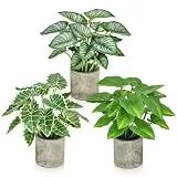 SHEPIN 3 Stück Kunstpflanze Wie Echt, Künstliche Pflanzen im Topf Zimmerpflanzen, 24cm Kunstpflanzen Dekopflanze Fake Plant Plastik Pflanze für Badezimmer Büro Küche Badezimmer (Zellstoffbecken)