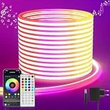 Neon Led Strip 5M RGB, LED Streifen mit APP Steuerung Fernbedienung, IP65 Outdoor Wasserdichte Flexible LeD Leiste, 24V LED Band Lichtschlauch Außen Innen Musik Sync DIY für Zimmer Raum Wand Gaming