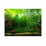 Fdit Hintergrund für Aquarium, PVC, selbstklebend, grünes Wassergras, 91 * 50cm