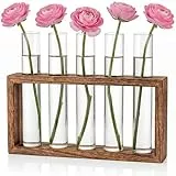 Cieex Kleine Vintage Blumenvase, Modern Glas Reagenzgläser für Blumen Mit Ständer Holz, Glasrohre mit Flachboden Vasen Deko Set für Hydrokultur Pflanzen Tischdeko Hause Büro Wohnzimmer Küche Deko
