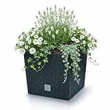 Prosperplast quadratisch Blumentopf in Rattan-Optik Rato Serie anthrazit Volumen 64 L, schwarz, 39 x 39 x 40,5 cm, DRTS400L-S433