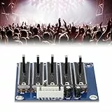 Equalizer Power Board für professionelle Audio-Anwendungen mit Ausgängen (15 Straßen)
