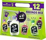 Kleiner Feigling Mix-Paket | 12 FreundeMix | Fussball-EM | mit Anti-Stress-Ball | 12 x 20 ml | Mit 6 Minis verschiedenen Sorten | Party-Shot