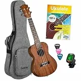 Cascha HH 2036 Premium Mahogany Concert Ukulele Starter Pack