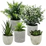 5 Stück Kunstpflanze, Mini Künstliche Pflanzen Schlangenzunge, Agave Sukkulente, Eagle Claw Aloe, Künstliche Pflanzen für Schlafzimmer Büro Dekoration