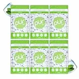 PUR Gum | Zuckerfreier Kaugummi | Mit Xylit | Vegan, Aspartamfrei & Glutenfrei | Natürlicher Kaugummi Mit Coolmint-Geschmack, 55 Stück (6er Pack)