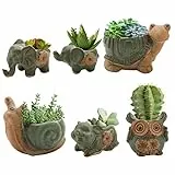 Okllen 6er-Pack Mini Eulen Elefant Sukkulenten Topf mit Drainageloch, Niedliches Tier Keramik Sukkulenten Pflanzgefäß Set für Bonsai, Kleiner Blumentopf, Wohnkultur, Garten, Innenbereich, Outdoor