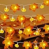 OUILA Ahornblatt Kürbis Lichterkette, 20 LED/3,5 M, Herbst, Batteriebetrieben, Geeignet für Herbstdekoration, Halloween und Thanksgiving, Innen und Außendekoration