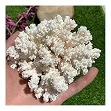 AOHRO Natürlicher Kristall rau for White Coral Cluster Quartz Crystal Reef SpecimenCrystal Stone for Home Decor
