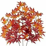 Arborus 3 Stück Zweige Künstlich 76 cm Künstliche Ahornzweige Herbstdeko Dekozweige Künstliche Ahornblätter Kunstzweige Kunstpflanze Zweig für Äste und Zweige Deko Vase Tisch Deko