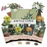 Exotische Kakteen Samen mit hoher Keimrate - Sukkulenten Samen Set für deinen eigenen wunderschön blühenden Kaktus (4er Set Samen Mix)