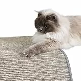 Carpido Kratzmatte für Katzen - Fußmatte Sisal Kratzteppich - natürliche Sisalmatte robust - Vorleger 100% Sisal - Katzenkratzmatte grau 60 x 80 cm 2er Set