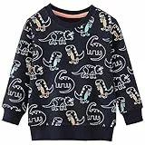MUJOQE Jungen Sweatshirt Kinder Warme Pullover Baumwolle Activewear Kinder Dinosaurier T-Shirt Langarmshirt 110